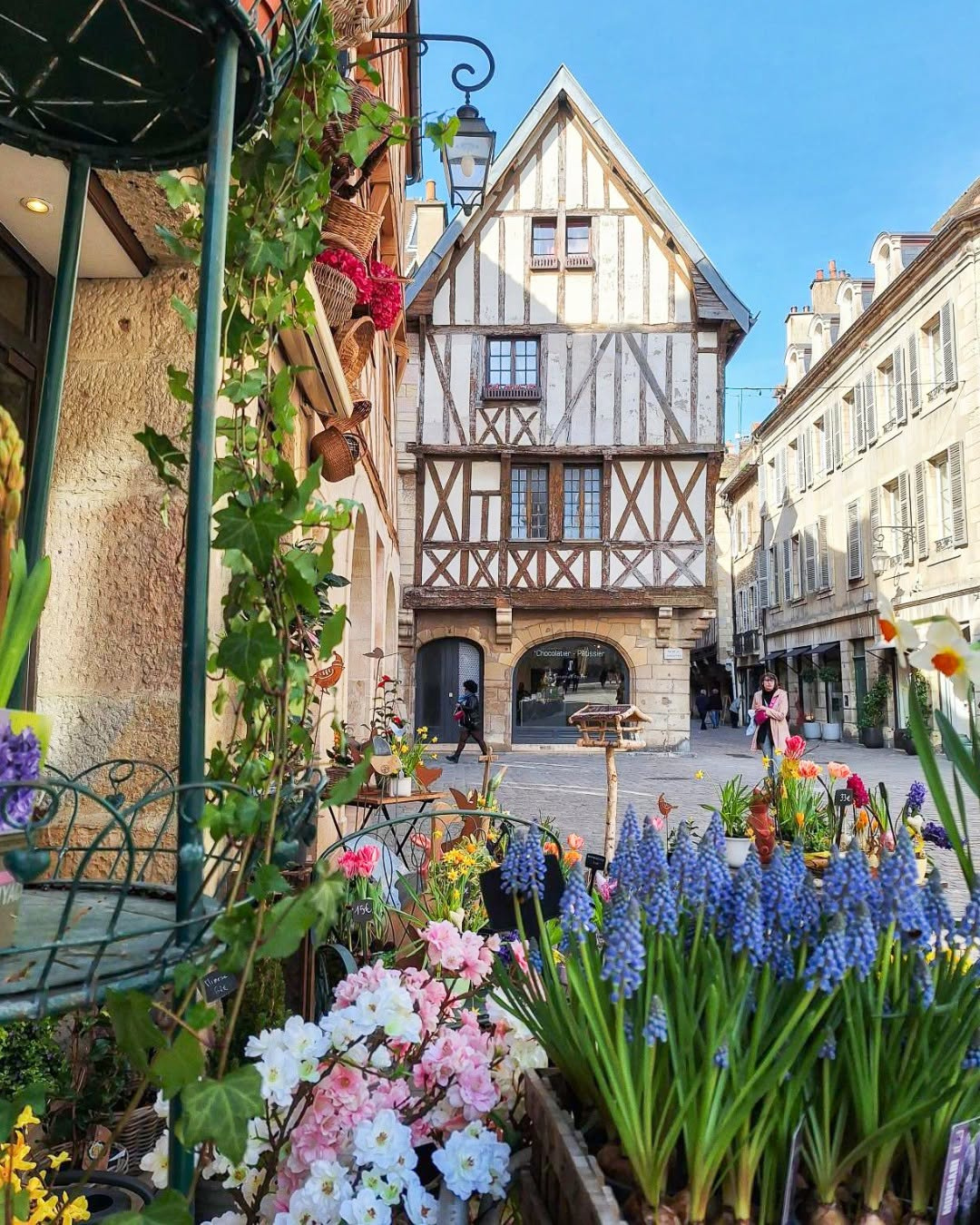 DIJON HYPER-CENTRE - SQUARE DES DUCS